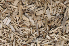 biomass boilers Bornais