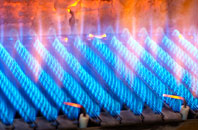 Bornais gas fired boilers